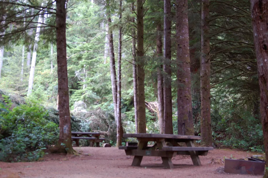 Wooded campsite with a picnic table and fire ring, surrounded by example site attribute pills